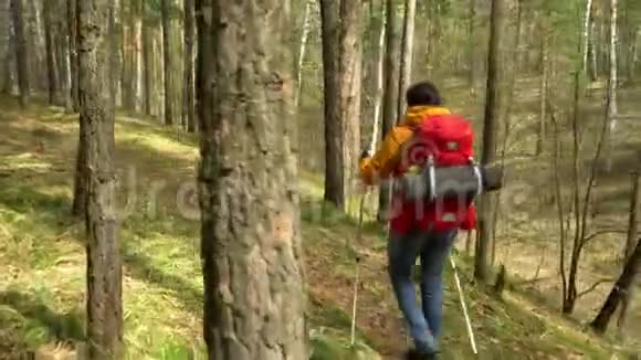 那个带着红色背包的女人在森林路上旅行斯堪的纳维亚人散步视频的预览图