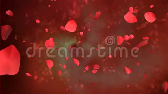 带有抽象背景和阿尔法的玫瑰花瓣视频的预览图
