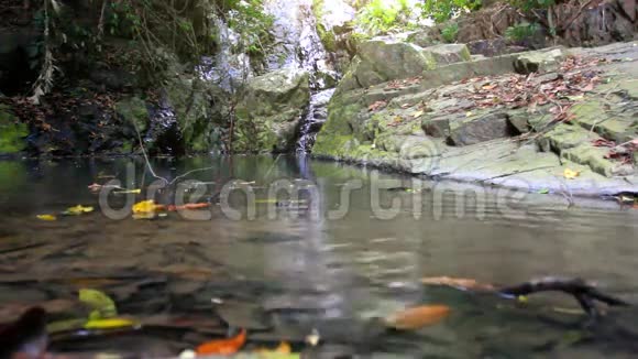 苏梅岛森林深处的瀑布泰国视频的预览图