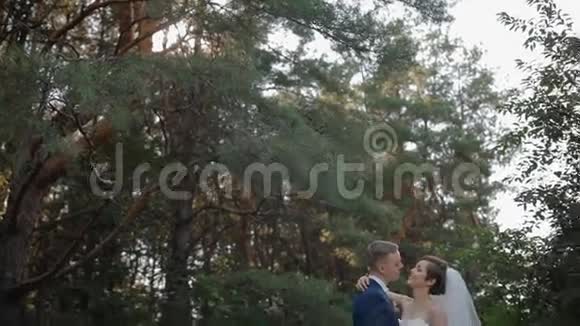 新郎新娘在树林里摆姿势视频的预览图