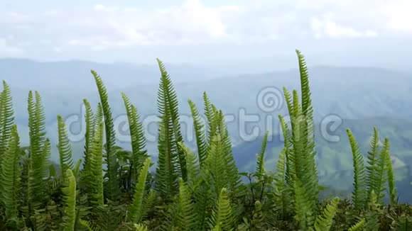 山上美丽的自然美景视频的预览图