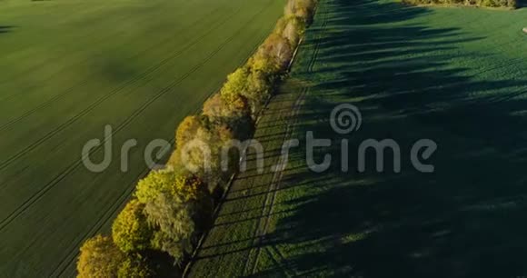 美丽的空中视频卡特林霍姆瑞典斯堪的纳维亚在秋天的一天视频的预览图