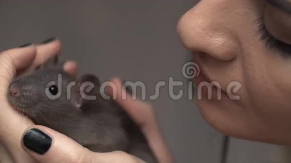 美丽可爱的女孩牵着一只小宠物棕色老鼠的手她拍了拍她的吻微笑视频的预览图