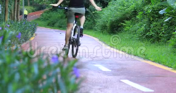 阳光明媚的早晨公园里自由女子骑自行车视频的预览图