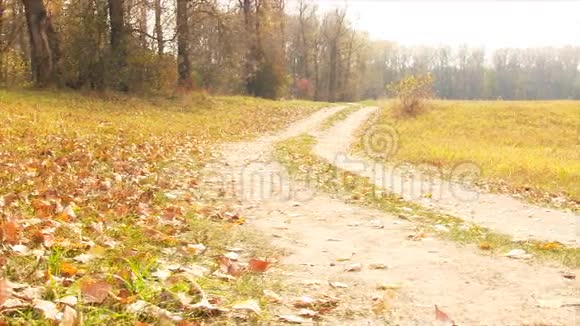 秋天的乡村之路视频的预览图