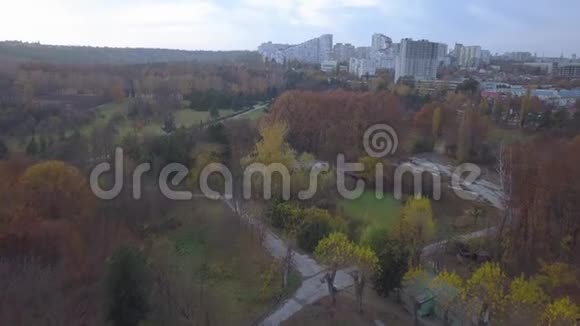 飞越城市秋季公园的航班视频的预览图