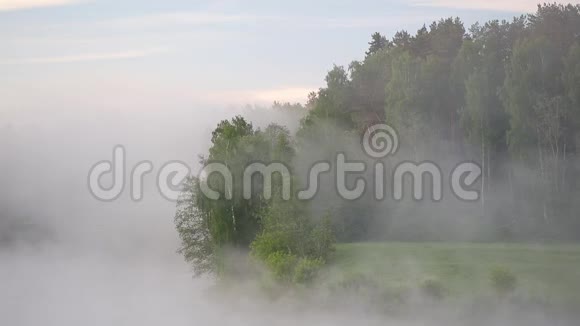 雾蒙蒙的夏晨河与鸟鸣视频的预览图