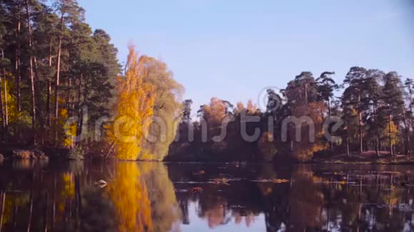 秋天的风景树上五颜六色的叶子秋天视频的预览图