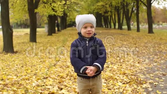 秋天公园里一个小男孩的肖像视频的预览图
