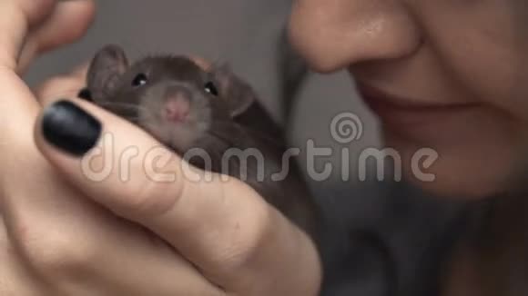 美丽可爱的女孩牵着一只小宠物棕色老鼠的手她拍了拍她的吻微笑视频的预览图