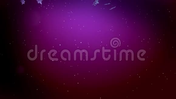 闪亮的三维雪花在空气中缓慢地漂浮在紫色的背景下在夜间发光使用动画圣诞视频的预览图
