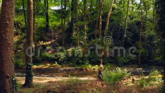阳光明媚的一天女人在森林里散步视频的预览图