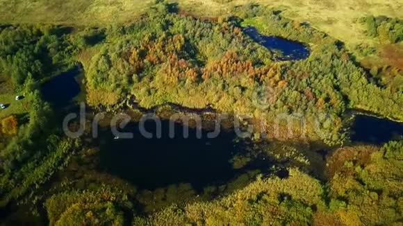 夏季森林中湖泊的空中景观视频的预览图