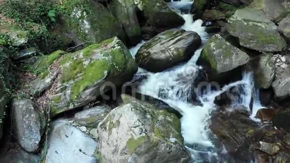 山河流过森林中的岩石和巨石视频的预览图
