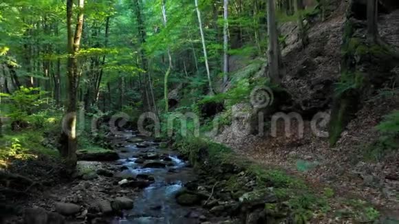 山河流过森林中的岩石和巨石视频的预览图