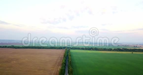 各种类型农业领域的空中射击务农空中拍摄的农田农业航空射击视频的预览图