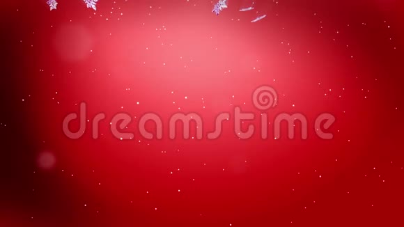 闪亮的3D雪花在空气中缓慢地漂浮在红色背景下在夜间发光作为圣诞动画使用新视频的预览图