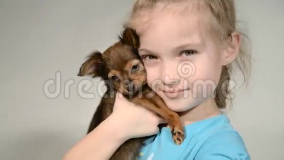 小狗玩具猎犬和白色背景的孩子视频的预览图