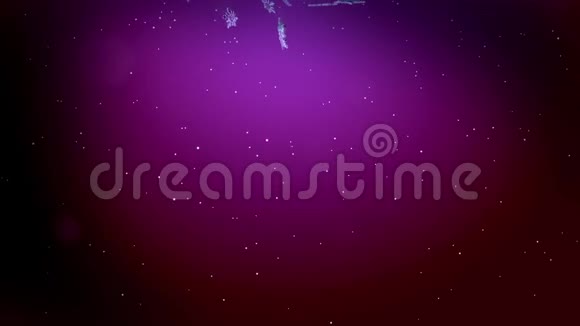 在紫色背景下闪亮的3d雪花在夜间缓慢地漂浮在空气中作为圣诞动画使用新年视频的预览图