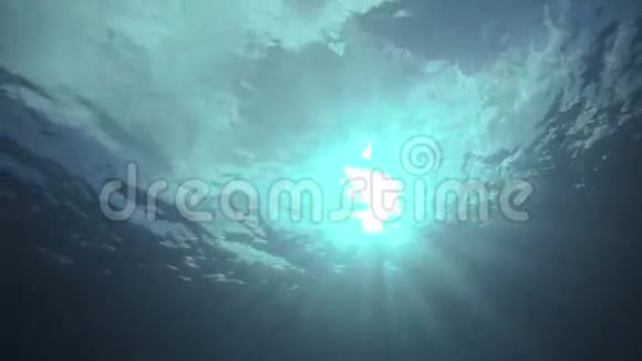 哥伦比亚圣安德烈斯水下勘探视频的预览图