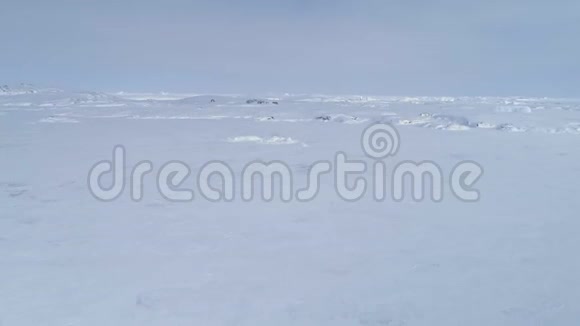 南极洲弗纳德斯基站空中飞行视野视频的预览图