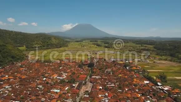 山区景观农田和村庄巴厘岛印度尼西亚视频的预览图