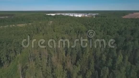 从空中俯瞰森林视频的预览图