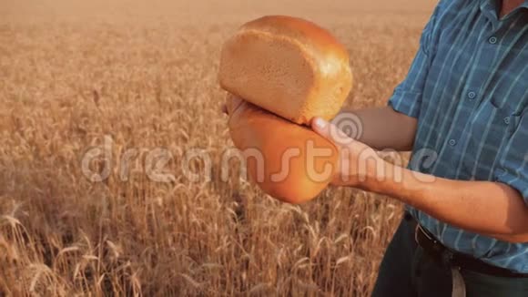 老农面包师拿着一个金色的面包和面包在麦田的生活方式对抗蓝天慢速视频视频的预览图