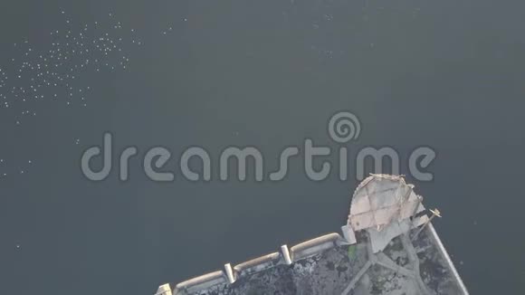 威拉米特瀑布俄勒冈州波特兰太平洋西北视频的预览图