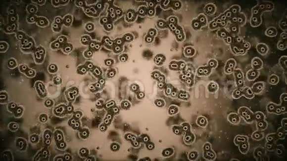 病毒在显微镜下攻击细胞或细菌3d渲染视频的预览图