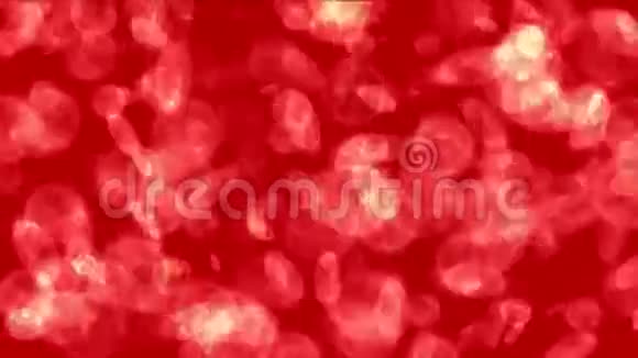 浮游生物透明细胞显微镜下的微小微生物视频的预览图