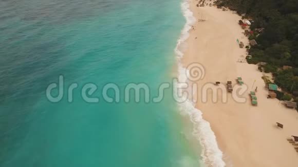 带棕榈树的热带沙滩视频的预览图