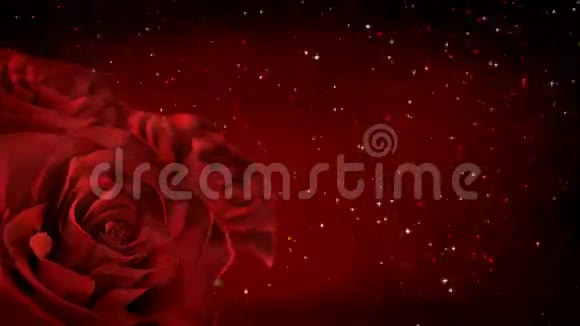 旋转红色玫瑰与闪光粒子3D渲染无缝回路视频的预览图