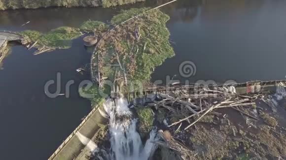 威拉米特瀑布俄勒冈州波特兰太平洋西北视频的预览图