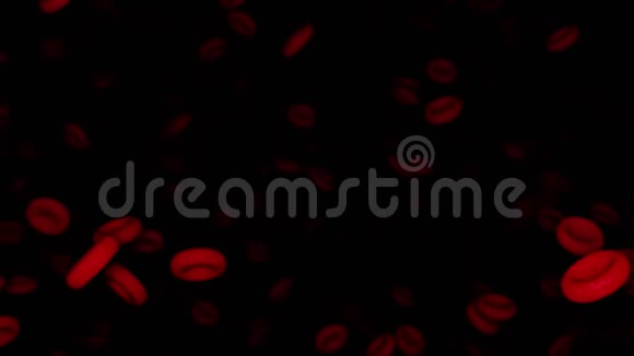 血细胞视频的预览图