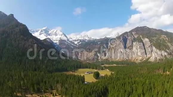 奥地利山区的森林上空盘旋视频的预览图