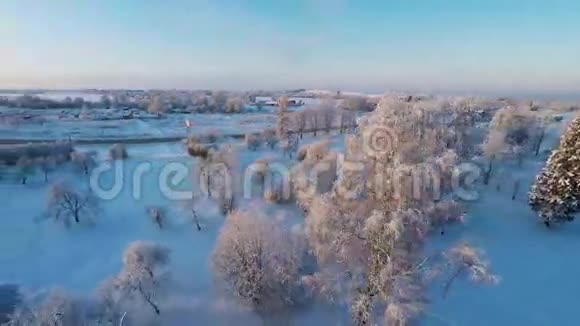 美丽的雪景冬天的树日落空中镜头四处飞行视频的预览图