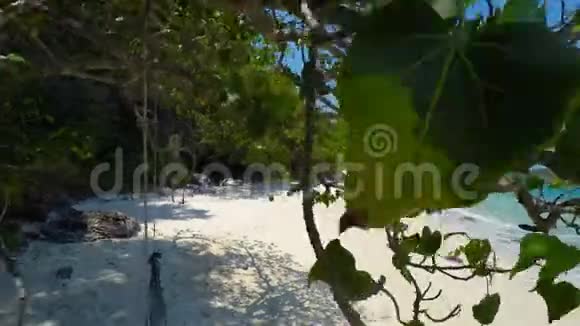 热带瓦塔拉普岛视频的预览图