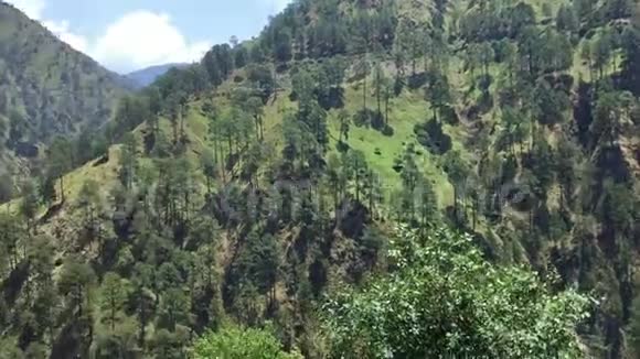 喜马偕尔邦达拉姆萨拉山谷自然景观视频的预览图