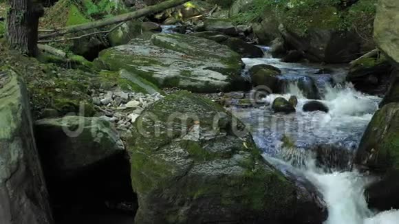 山河流过森林中的岩石和巨石视频的预览图