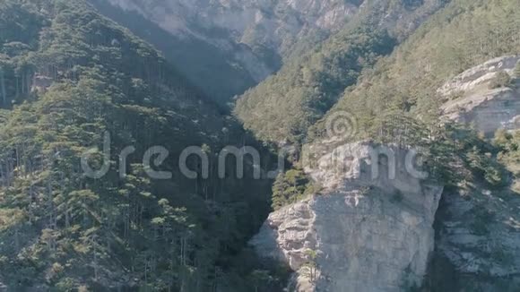 山的美丽景观山林鸟瞰图视频的预览图