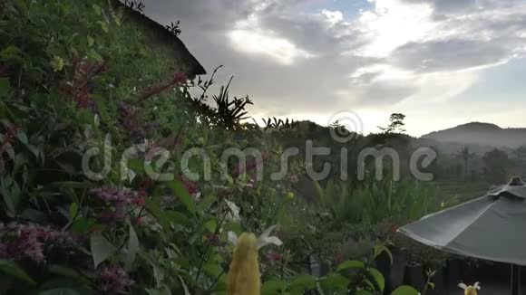 观山水稻梯田农民住宅印度尼西亚巴厘视频的预览图