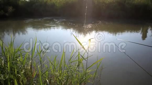 日出时钓鱼阳光照在水里视频的预览图