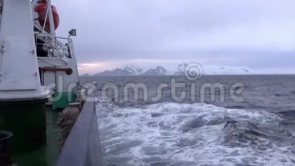 南极洲海洋中的波浪视频的预览图