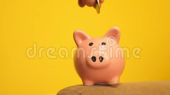 猪银行的经营理念一只手把硬币放在黄色背景上的储蓄罐里省钱就是视频的预览图