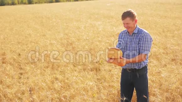 老农夫面包师拿着一个金色的面包和面包在成熟的麦田慢动作录像收获生活方式的时间老了视频的预览图
