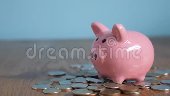 猪银行业务站在一堆硬币的概念上一只生活方式的手把硬币放在黄色的储蓄罐里视频的预览图