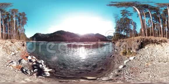 360VR虚拟现实的一片野山松林和河流流淌国家公园草地和阳光视频的预览图