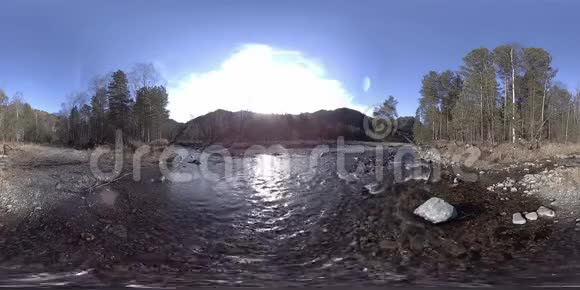 360VR虚拟现实的一片野山松林和河流流淌国家公园草地和阳光视频的预览图