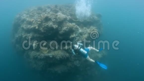 珊瑚礁和水肺潜水员视频的预览图